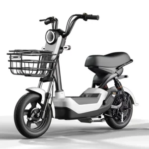 Hot Selling Adult Electric Bike with Rear Hub 350W Motor 48V Voltage Two Seats Scooters to Meet Different Riding Needs