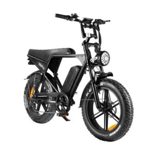 2-Seater Electric Off-Road Mountain E-Bike 20inch 250W Fat Tire Bike with 48v Steel Frame Best Price