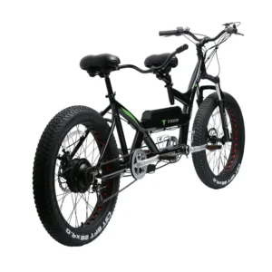 TXED 26 Inch 7 Speed 48v 500W Electric City Bicycle Alloy Frame Disc Brake Rear Hub Motor Double Seat Electric Bike